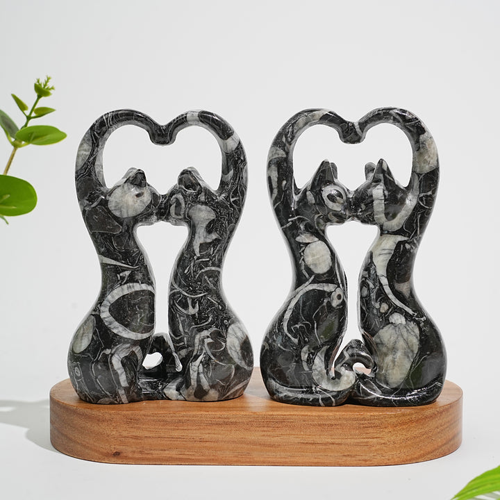 Natural Crystal Carving Shell Fossil Loving Couple Cats