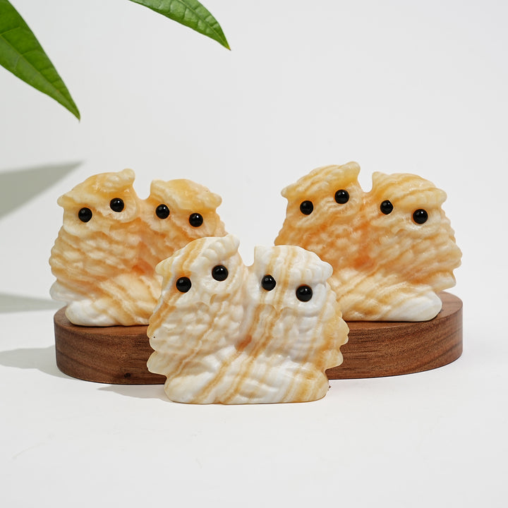 Natural Crystal Couple Owl Embrace Carving