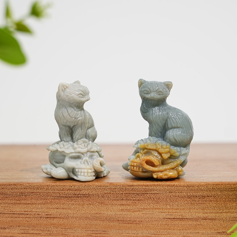 Natural Crystal Alashan Agate Cat On Skull