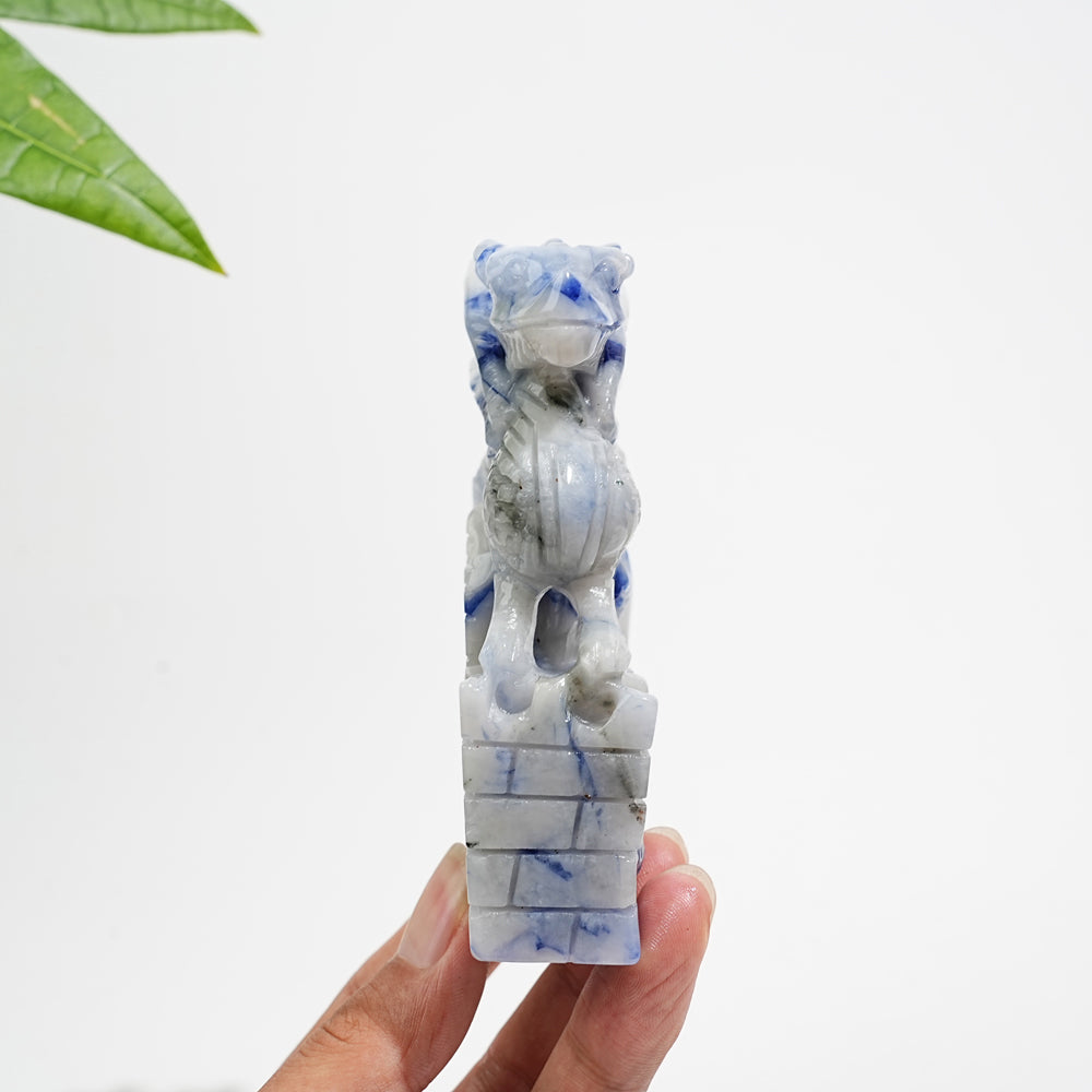 Unique,Natural Crystal Blue And White Porcelain Sodalite Flying Dragon
