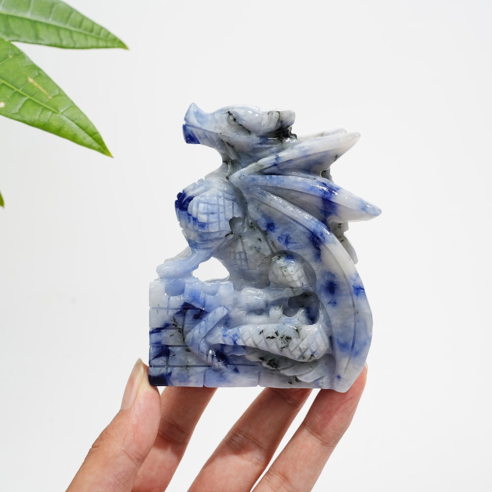 Unique,Natural Crystal Blue And White Porcelain Sodalite Flying Dragon
