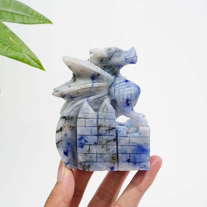 Unique,Natural Crystal Blue And White Porcelain Sodalite Flying Dragon