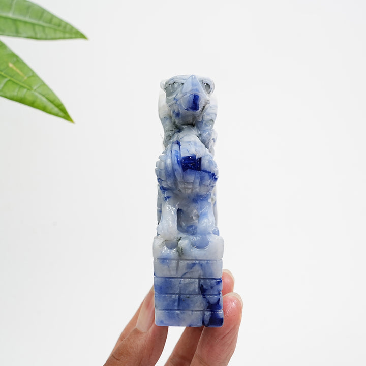 Unique,Natural Crystal Blue And White Porcelain Sodalite Flying Dragon