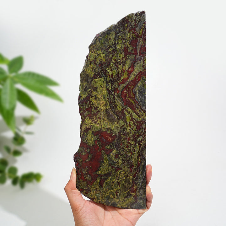 Unique,Natural Crystal Dragon Blood Stone Slice