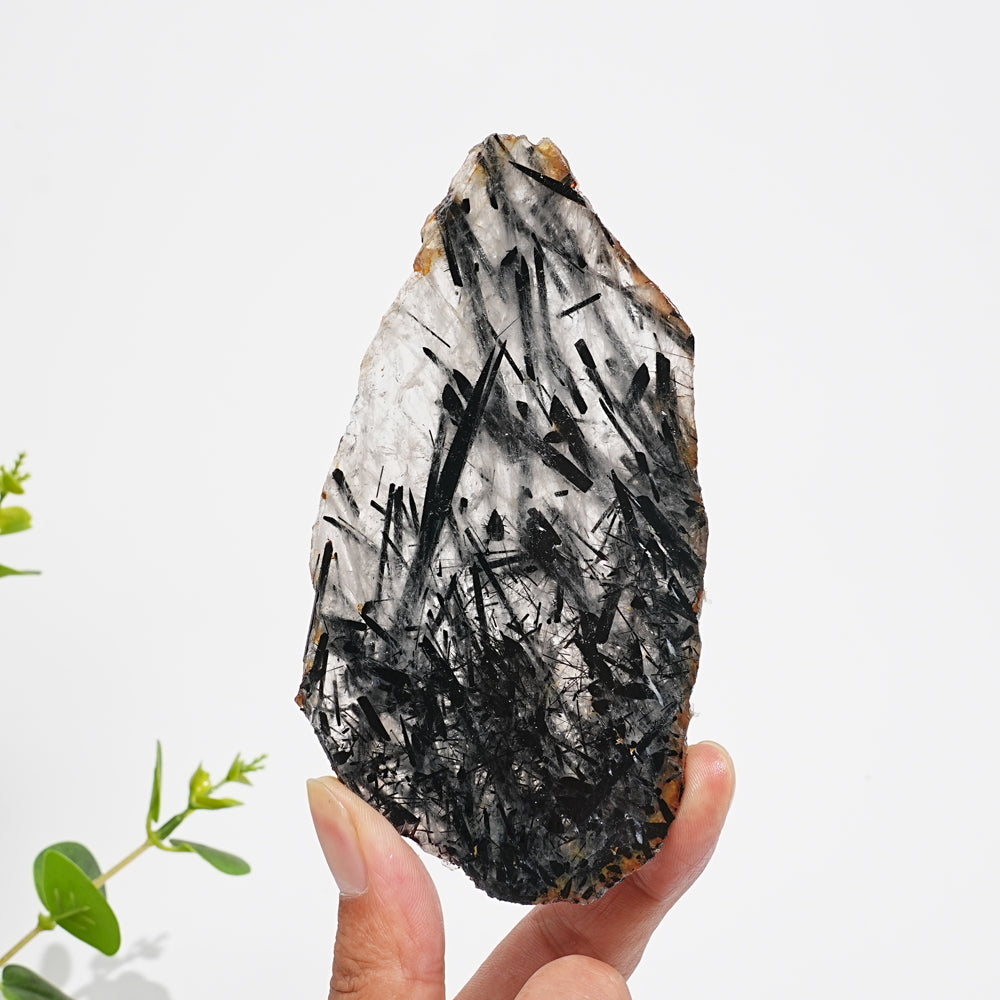 Unique,Natural Crystal Black Tourmaline In Quartz Slice