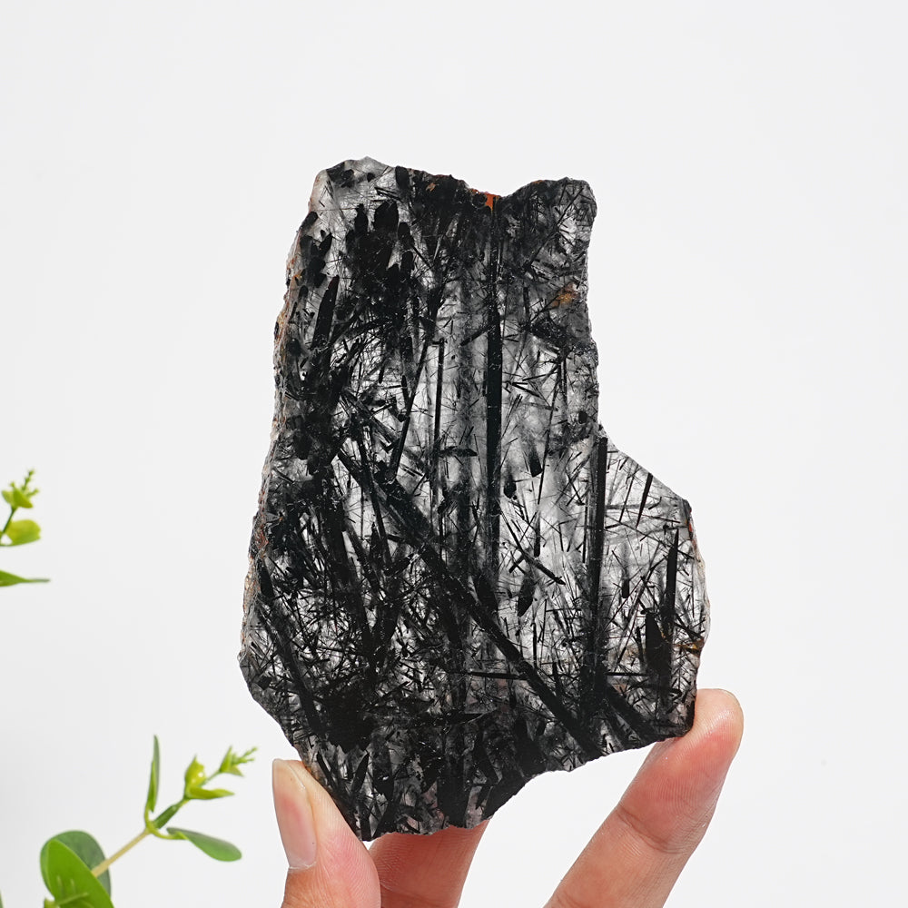 Unique,Natural Crystal Black Tourmaline In Quartz Slice