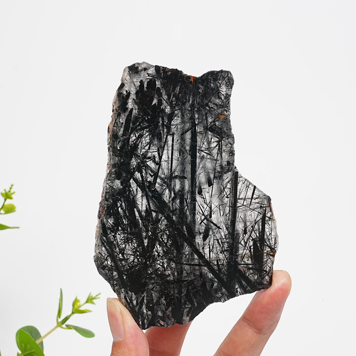 Unique,Natural Crystal Black Tourmaline In Quartz Slice