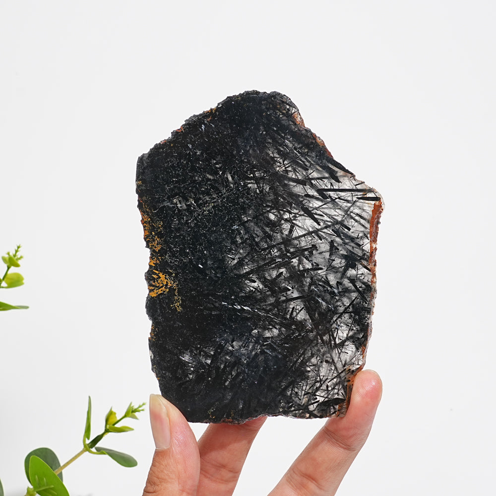 Unique,Natural Crystal Black Tourmaline In Quartz Slice