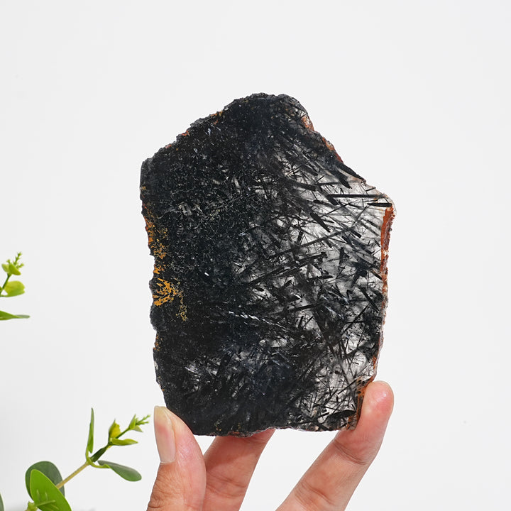 Unique,Natural Crystal Black Tourmaline In Quartz Slice