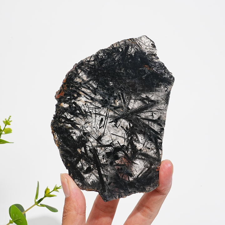 Unique,Natural Crystal Black Tourmaline In Quartz Slice