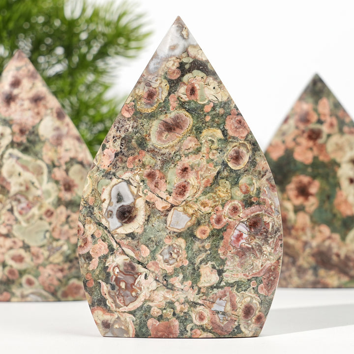 Natural Money Agate Teardrop