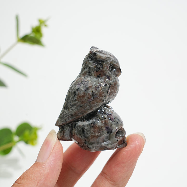 Natural Crystal Owl-On-Skull Carving