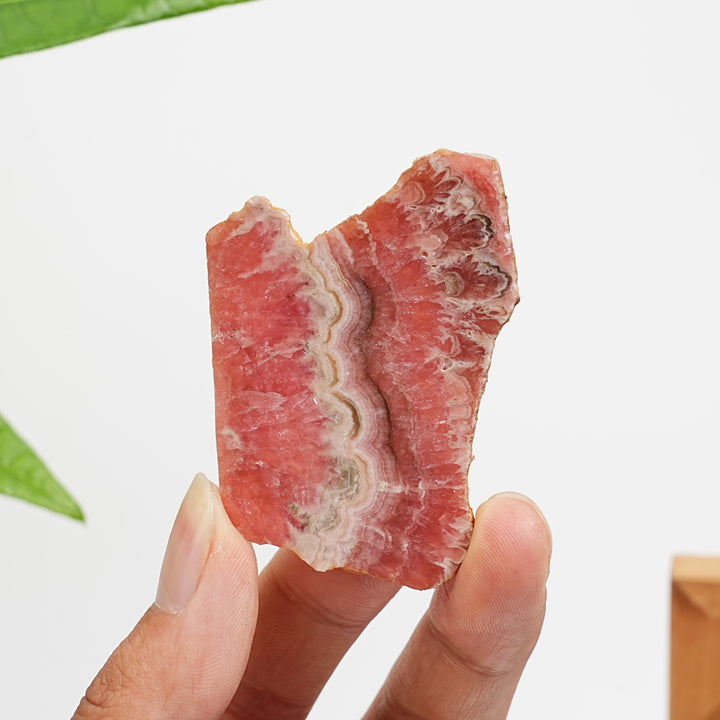 Unique,Natural Rhodochrosite Crystal Slice