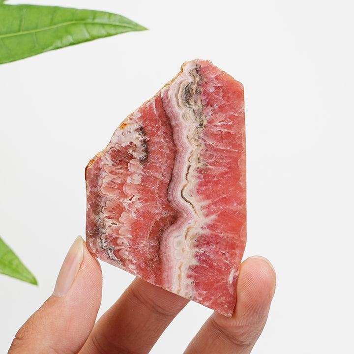 Unique,Natural Rhodochrosite Crystal Slice
