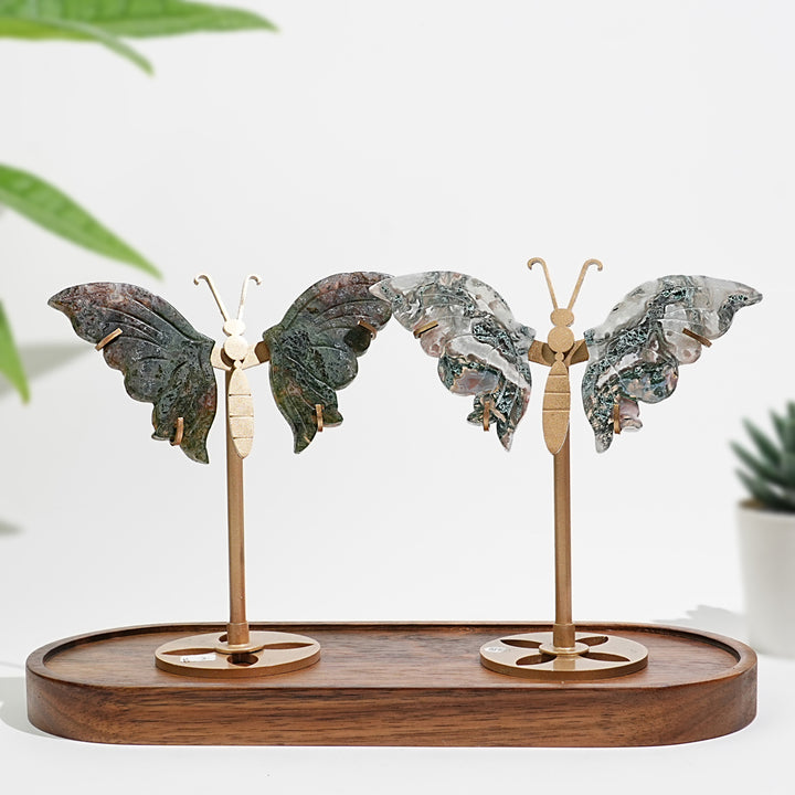 Unique,A Slightly Imperfect Natural Moss Agate Butterfly Wing Display