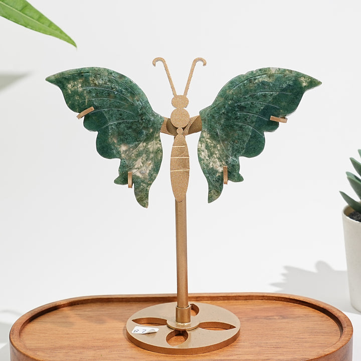 Unique,A Slightly Imperfect Natural Moss Agate Butterfly Wing Display