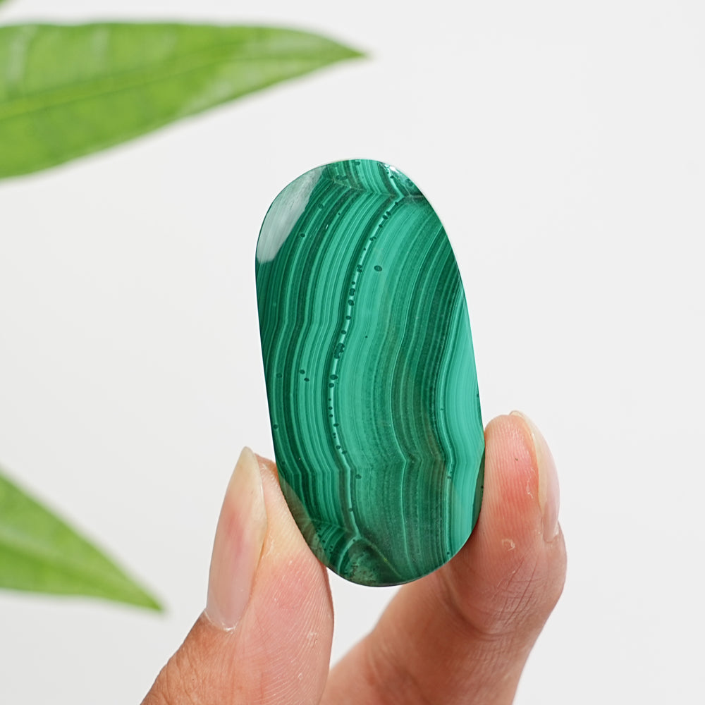 Natural Crystal Malachite Palmstone