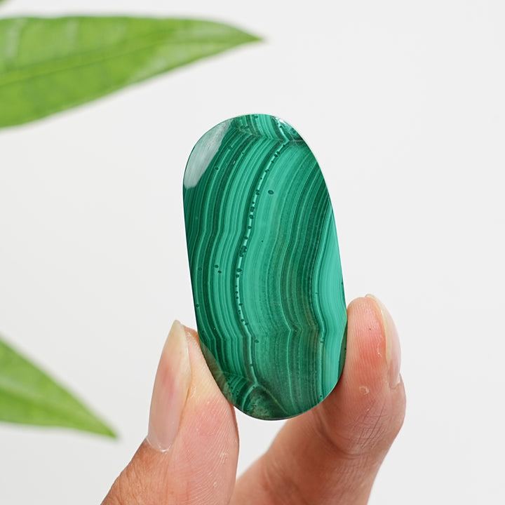 Natural Crystal Malachite Palmstone