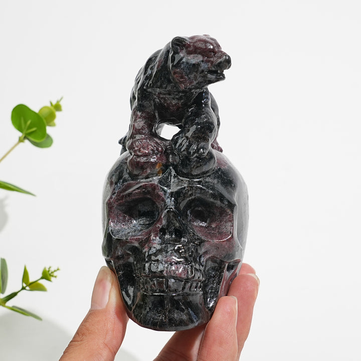 Unique,Natural Crystal Garnet With Arfvedsonite Bear On Skull