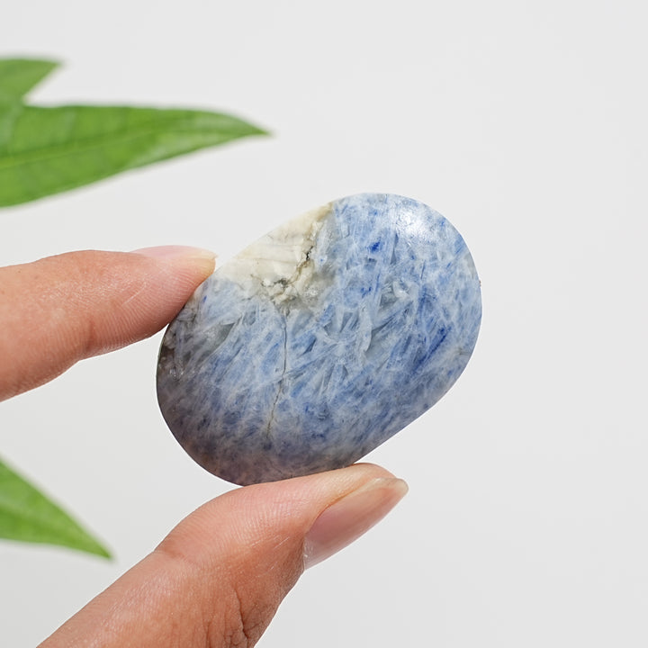 Natural Exquisite Blue Kyanite Crystal Palm Stone
