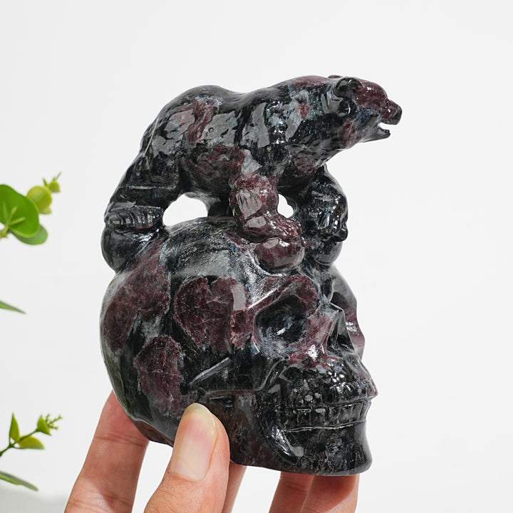 Unique,Natural Crystal Garnet With Arfvedsonite Bear On Skull