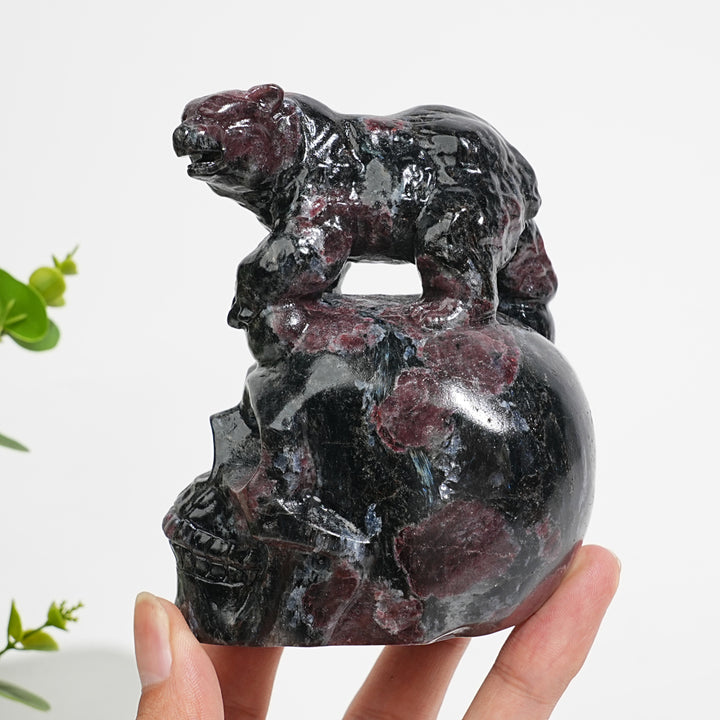 Unique,Natural Crystal Garnet With Arfvedsonite Bear On Skull