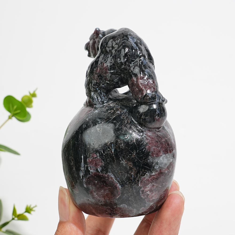 Unique,Natural Crystal Garnet With Arfvedsonite Bear On Skull