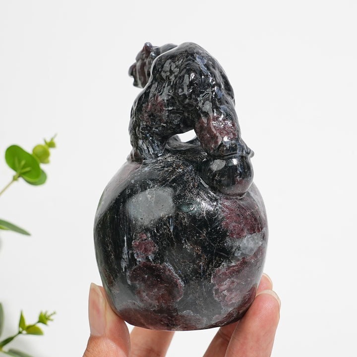 Unique,Natural Crystal Garnet With Arfvedsonite Bear On Skull