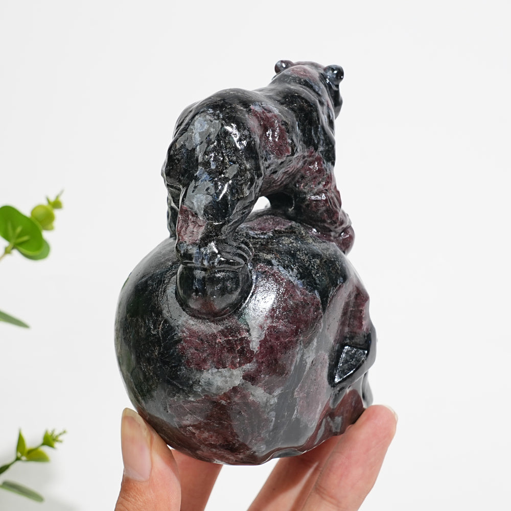 Unique,Natural Crystal Garnet With Arfvedsonite Bear On Skull