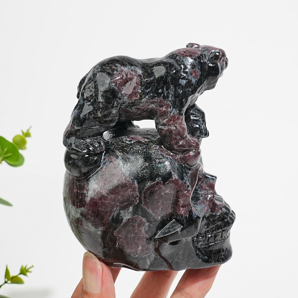 Unique,Natural Crystal Garnet With Arfvedsonite Bear On Skull