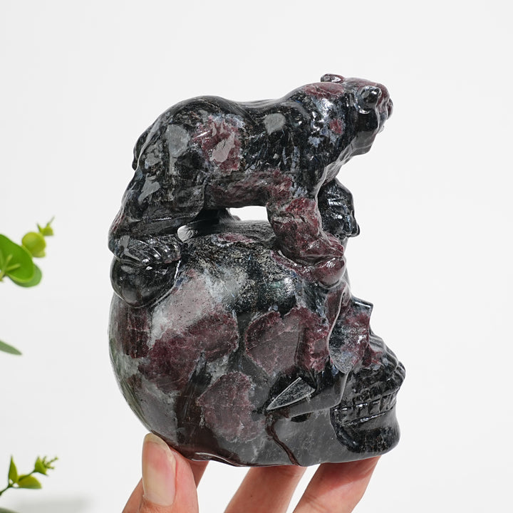 Unique,Natural Crystal Garnet With Arfvedsonite Bear On Skull