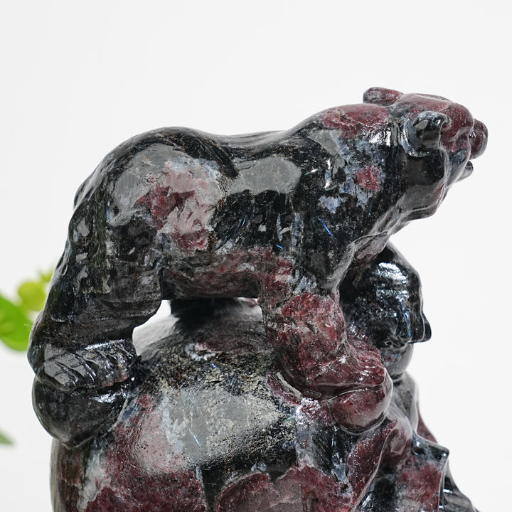 Unique,Natural Crystal Garnet With Arfvedsonite Bear On Skull