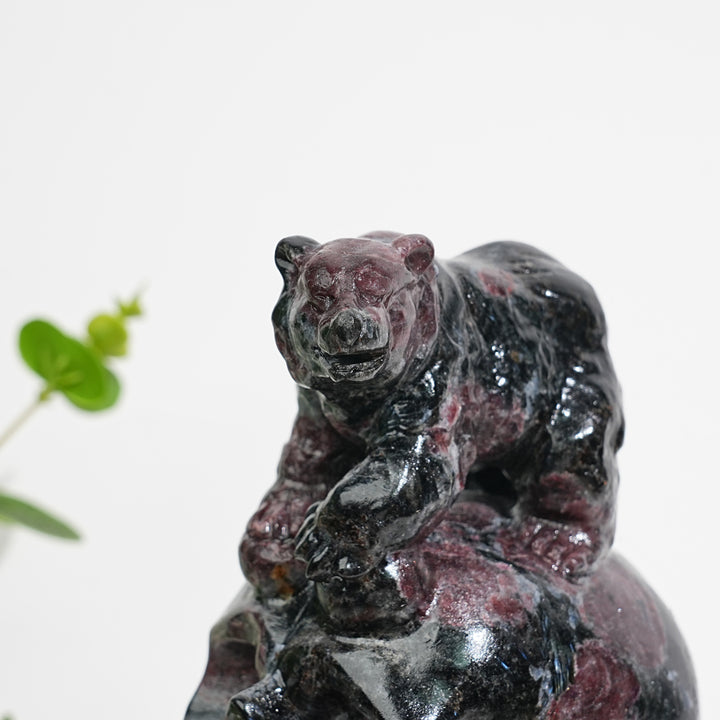 Unique,Natural Crystal Garnet With Arfvedsonite Bear On Skull