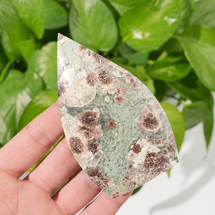 Natural Green Sakura Stone Teardrop