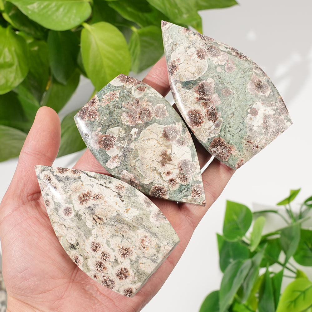 Natural Green Sakura Stone Teardrop