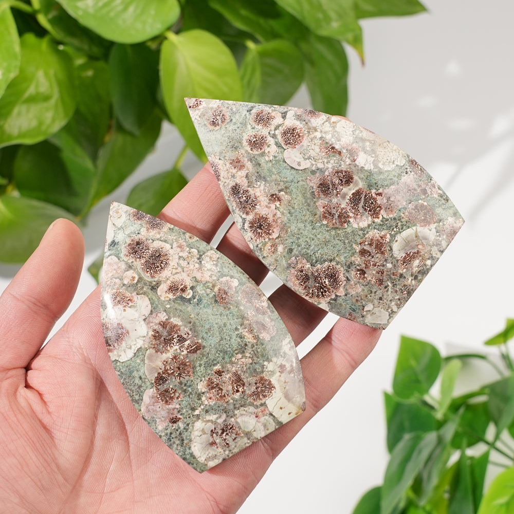 Natural Green Sakura Stone Teardrop