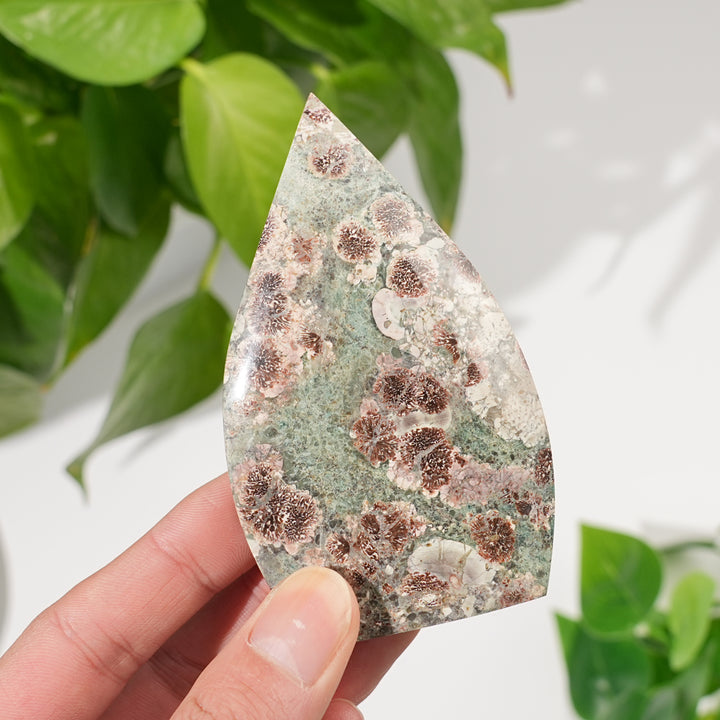 Natural Green Sakura Stone Teardrop