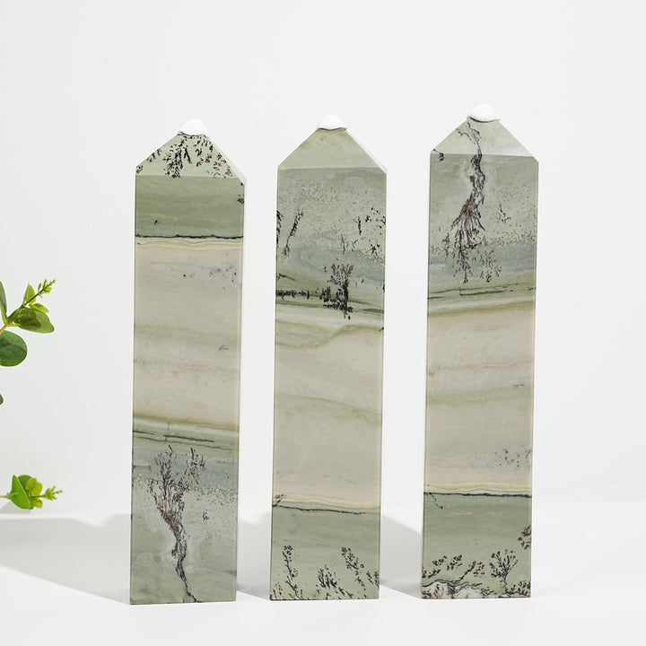 Unique,Natural Green Dendritic Calcite Point