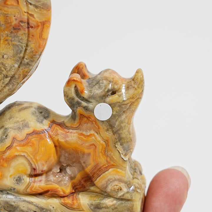 Unique,A Slightly Imperfect Natural Crystal Crazy Agate Nine‑Tailed Fox
