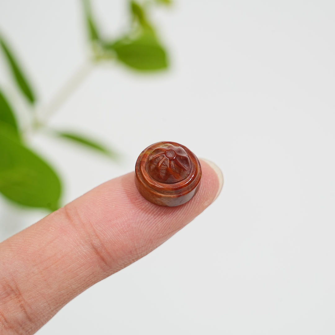 Natural Crystal Carving Mini Alashan Agate Multiple Styles