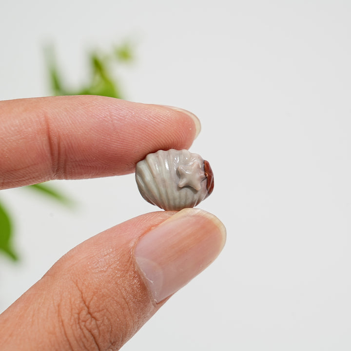 Natural Crystal Carving Mini Alashan Agate Multiple Styles