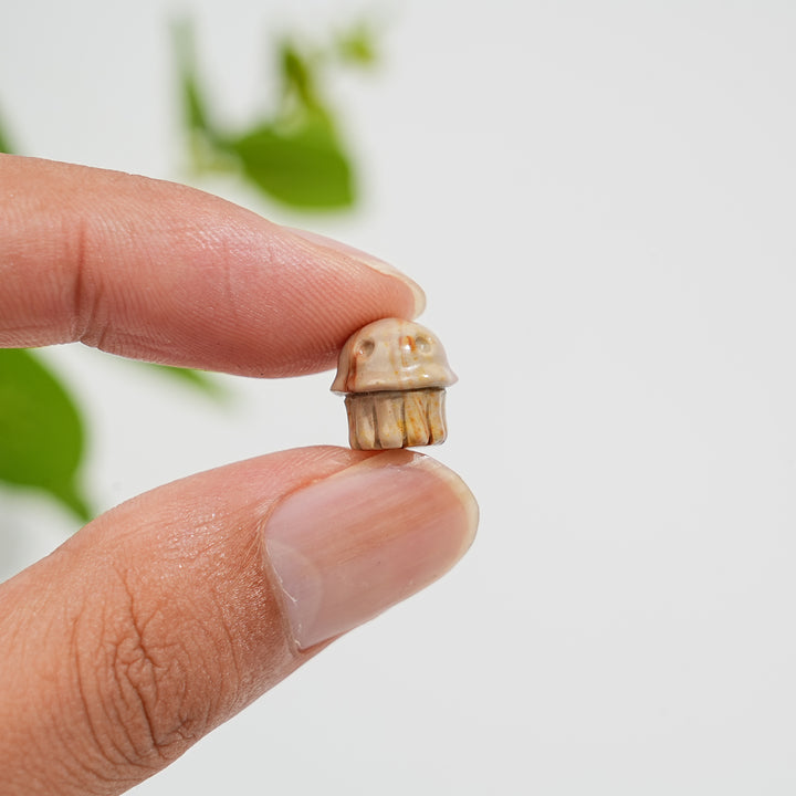 Natural Crystal Carving Mini Alashan Agate Multiple Styles