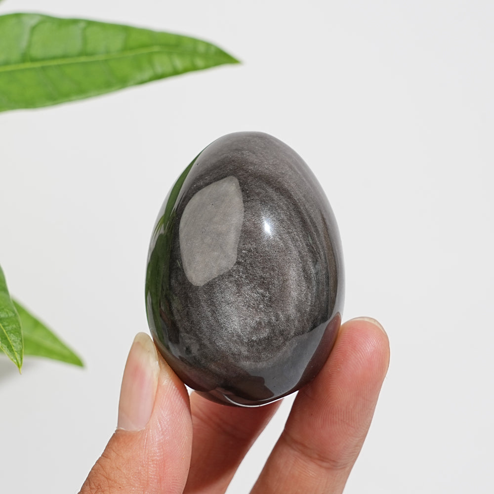 Natural Crystal Silver Obsidian Egg
