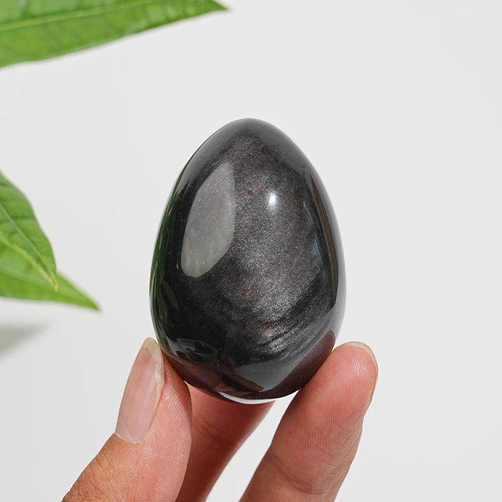 Natural Crystal Silver Obsidian Egg