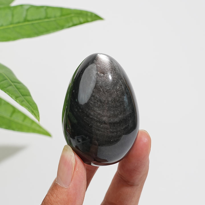 Natural Crystal Silver Obsidian Egg