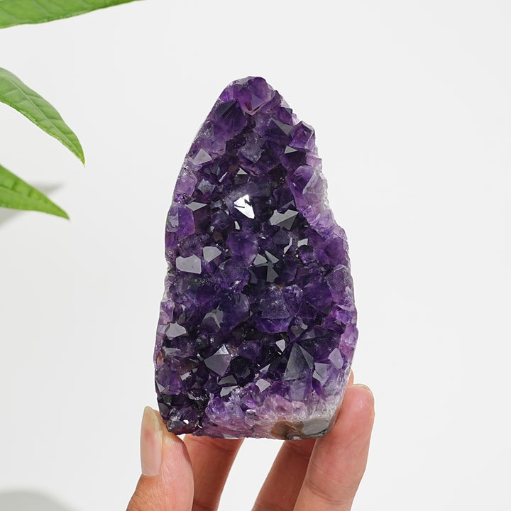 Unique,Natural Exquisite Amethyst Cluster