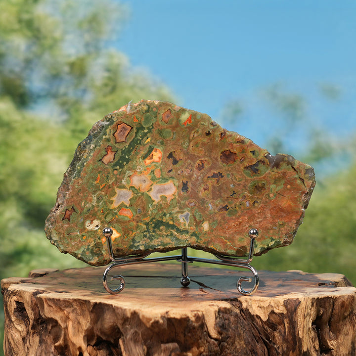 Natural Rainforest Jasper Slice