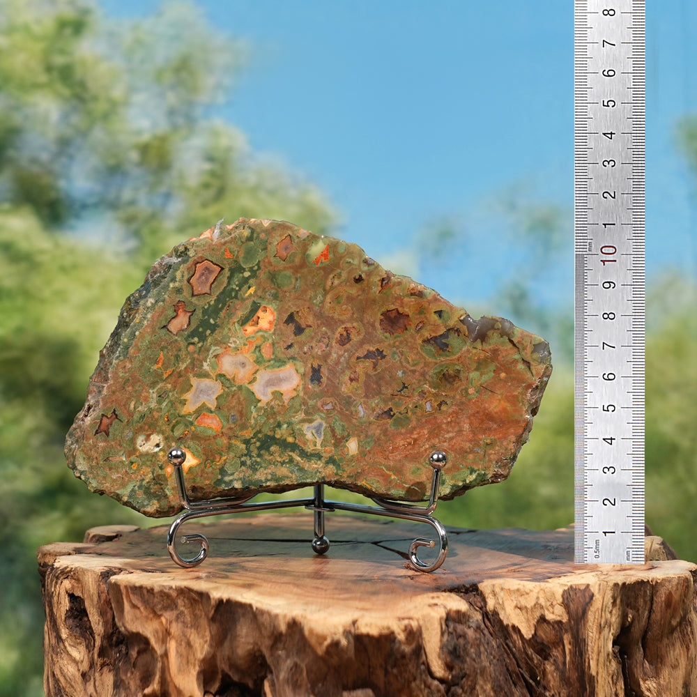 Natural Rainforest Jasper Slice