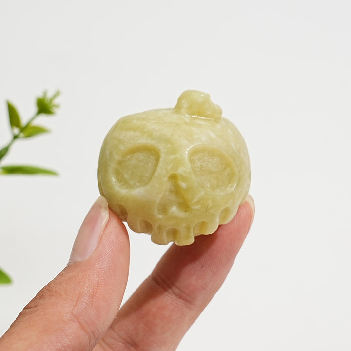 Natural Crystal Carving Poison Apple Skull
