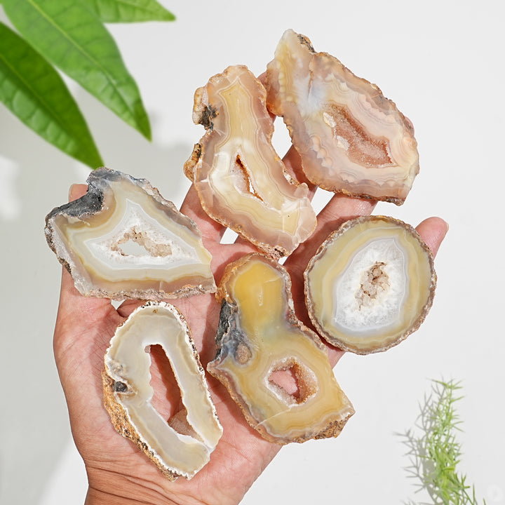 Natural Crystal Agate Geode Slice
